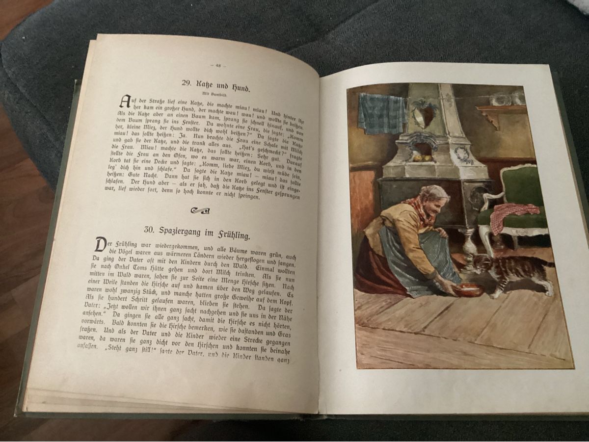 Libri: ANTIKES KINDERBUCH UM 1915 – Usato da Münchenstein venduto da NoSu98 4