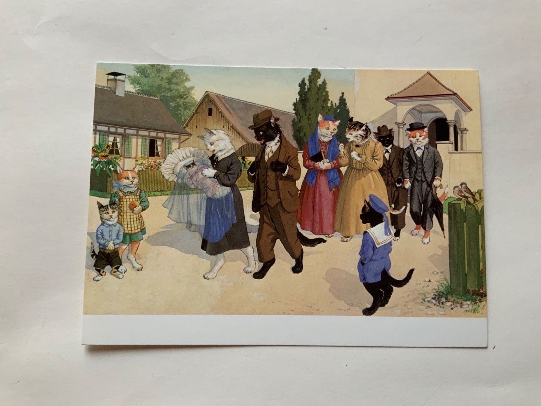 Cartoline postali: AK Katzen Katzenkarte Nr. 108 – Usato da Opfikon venduto da Diversamente