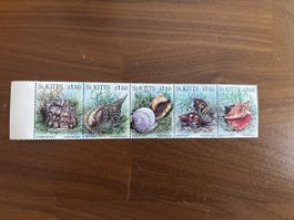 Briefmarke St. Kitts, Karibik, Muscheln, ungebraucht, Top!