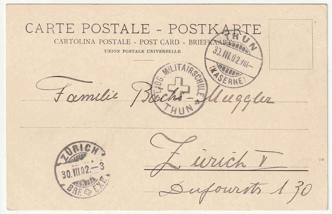 Cartes postales: Kolorierte AK Thun 1902 – D'occasion à Fislisbach par Zigzag12 1
