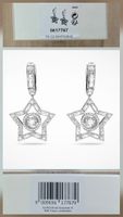 Swarovski Ohrringe Stern rhodiniert NEU