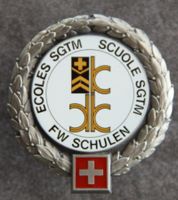 Fw Schulen, Ecoles Sgtm Beretabzeichen