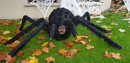 HALLOWEEN/HORROR RIESEN SPINNE