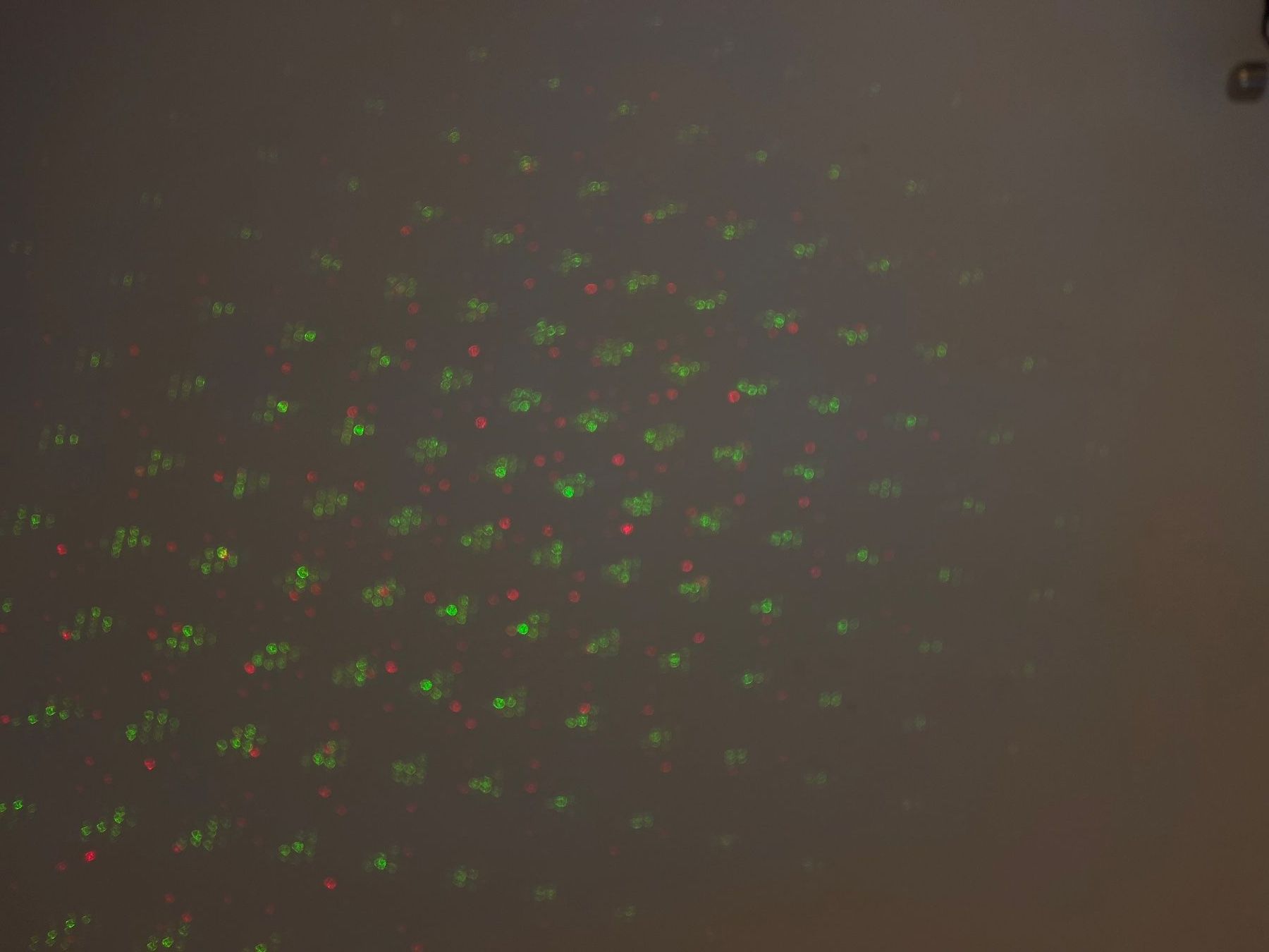 Lampade: Star Shower – Usato da Wettingen venduto da Wendemarket 1