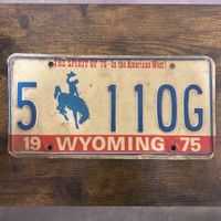 🇺🇸 1975 Vintage U.S. Autoschild - Wyoming 5-110G