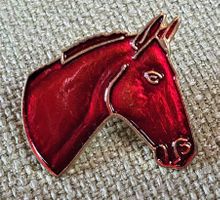 C317 - Pin Pferdekopf Pferd Kopf Reiten