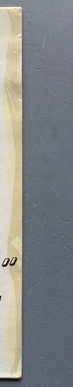 Vinyles: RIVAGE - OPENING – D'occasion à Poliez-Pittet par Newtown-Records 3