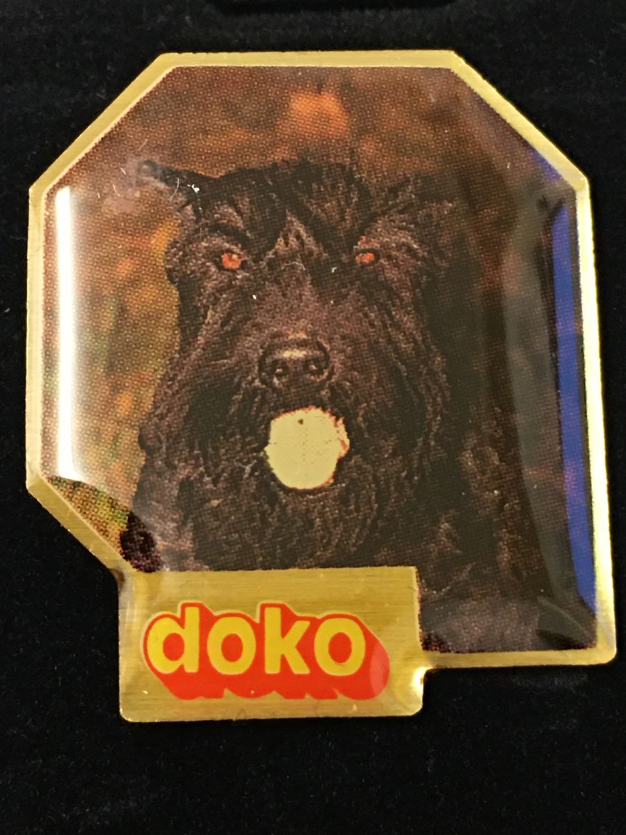 Plaketten & Abzeichen: PIN - Sammlung „doko“ – Gebraucht aus Wangen b. Olten von Finolino28 1