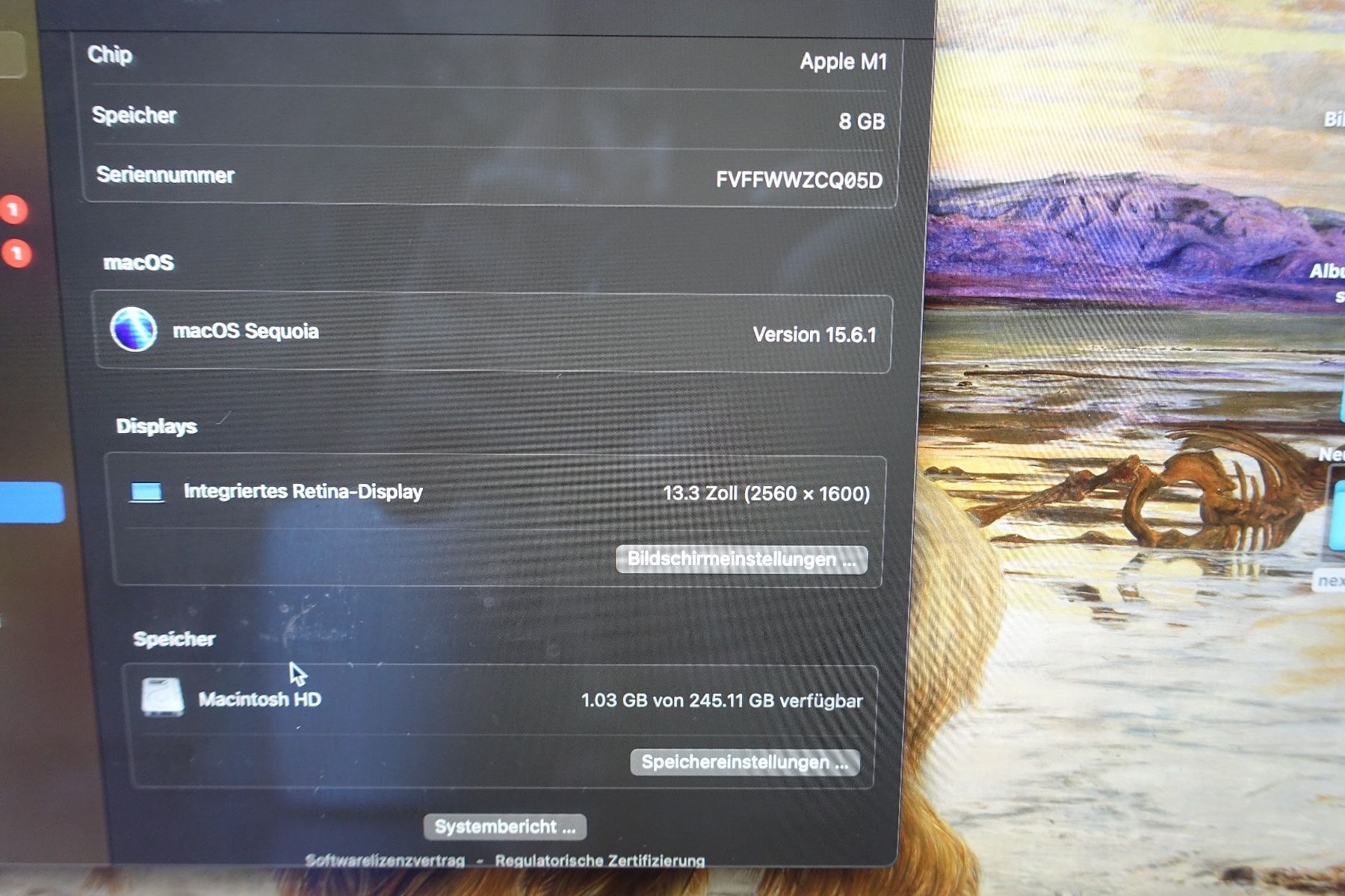 Apple Notebook: MacBook Pro 2020 , 13-Inch, M1 – Usato da Bern venduto da amylim 3