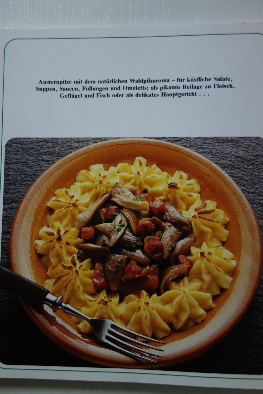 Libri: Austernpilz Kochbuch – Usato da Schachen b Herisau venduto da Locophon 1