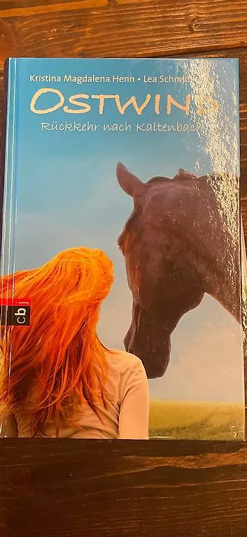 Libri: 3 Mädchen-Bücher Ostwind – Usato da Hasliberg Hohfluh venduto da Bambi6083 4