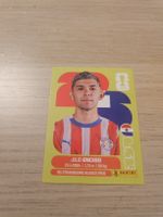 Panini WM 2026 PAR 15