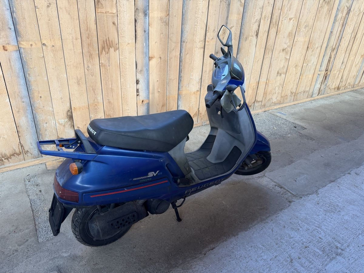 Peugeot Scooter: Roller Peugeot SV 125 C Executive blau – Usato da Kreuzlingen venduto da Roller-Werkstatt 1