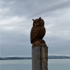 Profile image of Racardo10