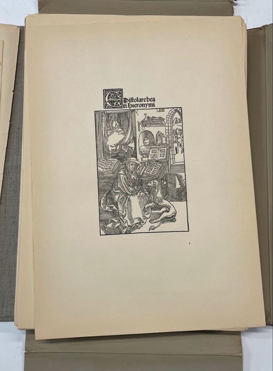Libri: Albrecht Dürer – Usato da Lausanne venduto da laollie1974 4