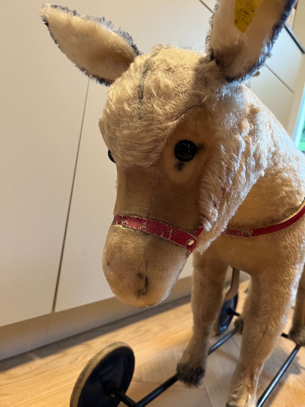 Steiff Spielzeuge: Steiff Rädertier ESEL, Mohair, Stimme, herzig – Gebraucht aus Winkel von Tongabonga 3