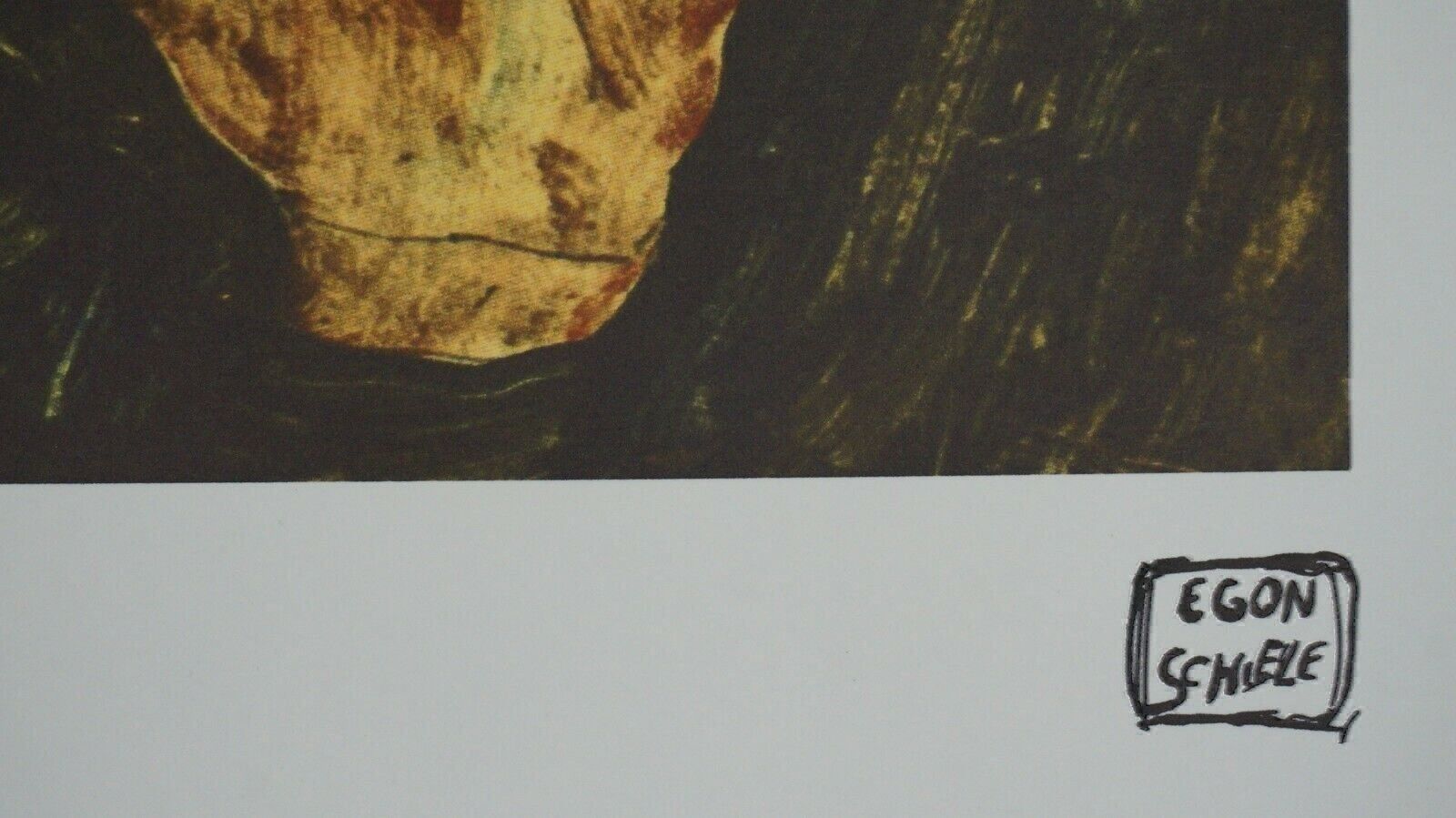 Foto & Immagini: EGON SCHIELE     HANDNUMMERIERT DRUCKSIGNIERT – Usato da Gersau venduto da kunst-online 3