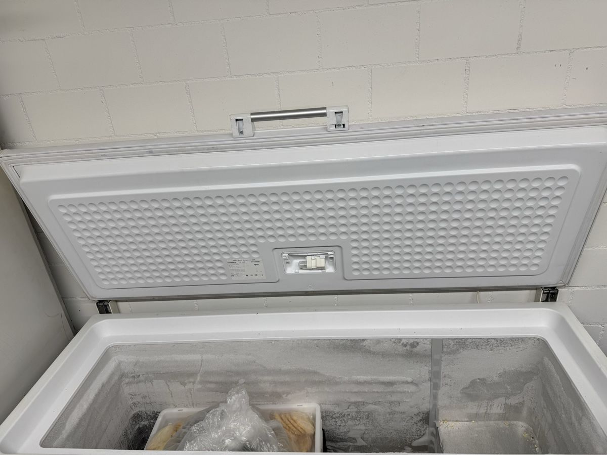 Congelatori: Congelatore a pozzetto Bosh – Usato da Zürich venduto da LuFrusciuluGmbH 1