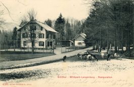Sihltal ZH  -  Wildpark - LANGENBERG - Restauration  um 1905