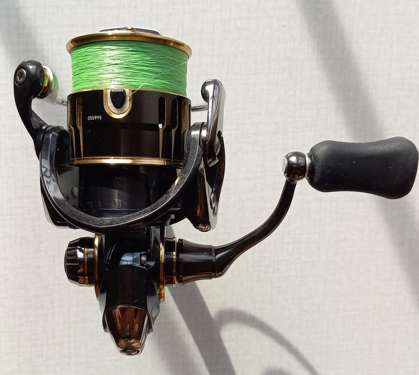 Daiwa Theory 2004 | Kaufen auf Ricardo