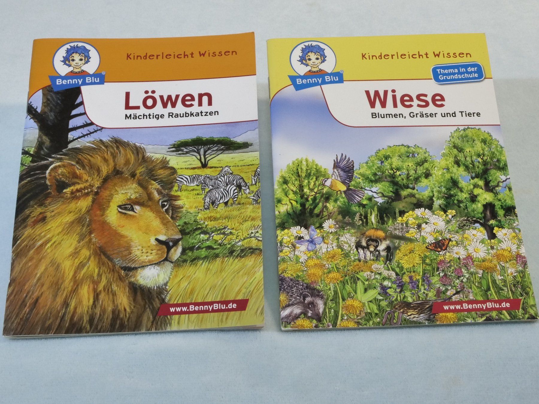 Bücher: Lot:6 verschiedene Büchlein: Benny Blu – Gebraucht aus Lustmühle von Glatisant 1