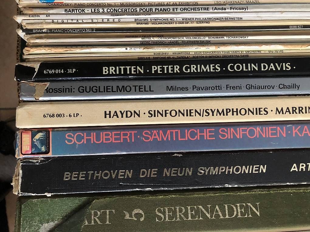 Dischi in vinile: Schallplattensammlung Vinyl Klassik – Usato da Thierachern venduto da Dotilaso 2