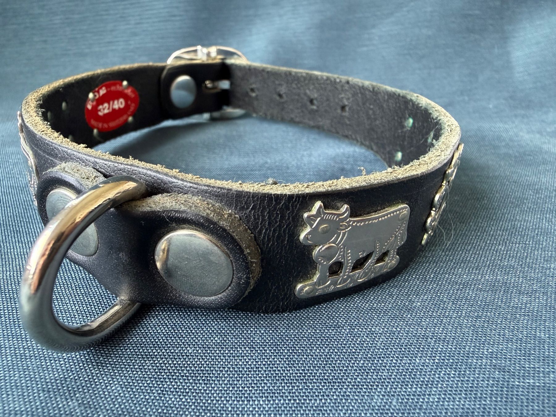 Dekobänder: Appenzeller Hundehalsband, Leder – Gebraucht aus Altstätten SG von mhu_k9gj 1