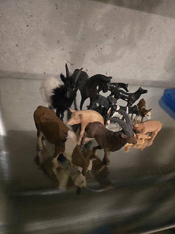 Giocattoli: Verschiedene Hoftiere – Usato da Langnau i. E. venduto da dod_c7cz