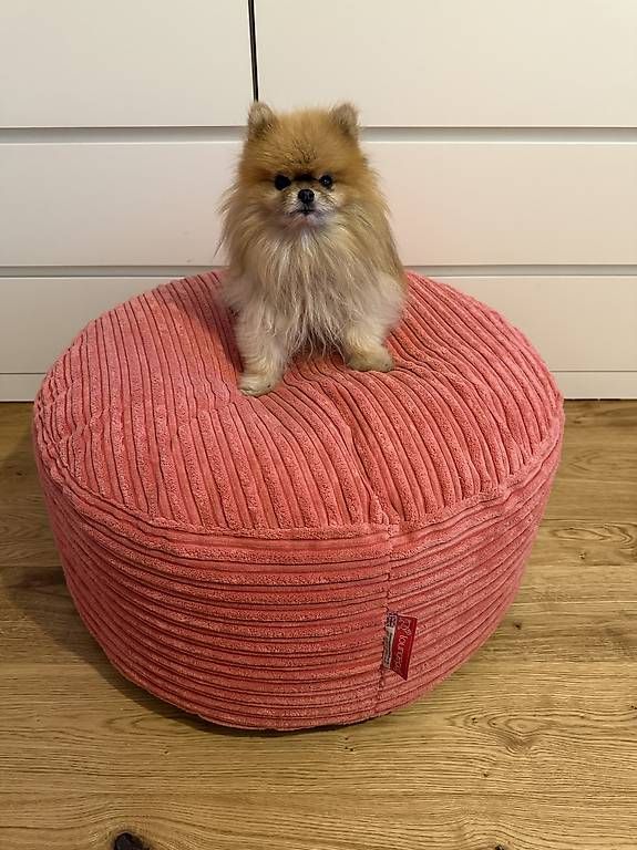 Autocollants: Pouf à bille bertha  – D'occasion à Monthey par jen_5bgh 2