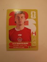 Panini World Cup 2026 CAN 14