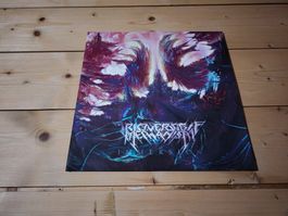 Irreversible Mechanism - Immersion