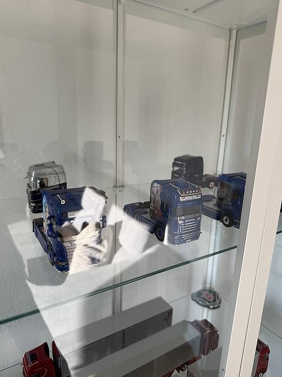 Kit di modellismo & Modellini statici: Tekno/Wsi Max Steffen – Usato da Buchs AG venduto da buo_tp75 1