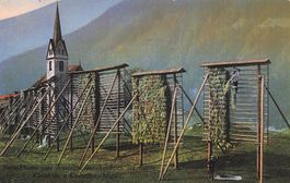 Disentis GR Traditionelle Moostrocknungs Gestelle raschen