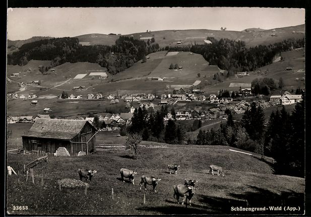 Cartes postales: Schönengrund-Wald /App., Ortsansicht au – D'occasion à Berlin par bartko-reher