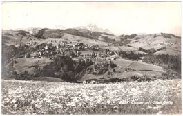 TROGEN mit Säntiskette (um Sommer) ca. 1915 (AR)
