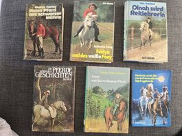 Buch Pferd