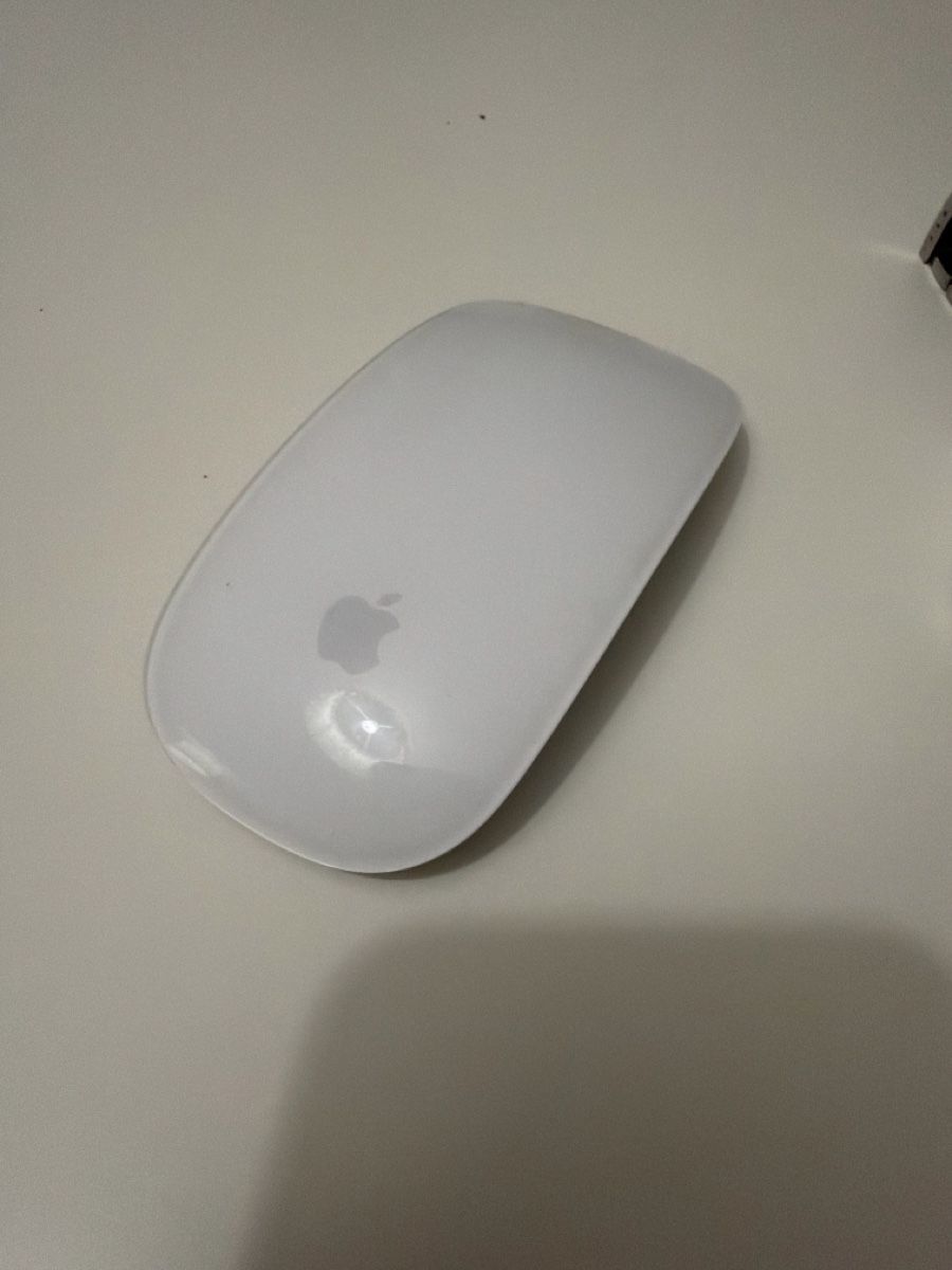 Apple Mouse: Apple Magic Mouse 2 gebraucht in gutem Zustand – Usato da Zürich venduto da jah_7g8q