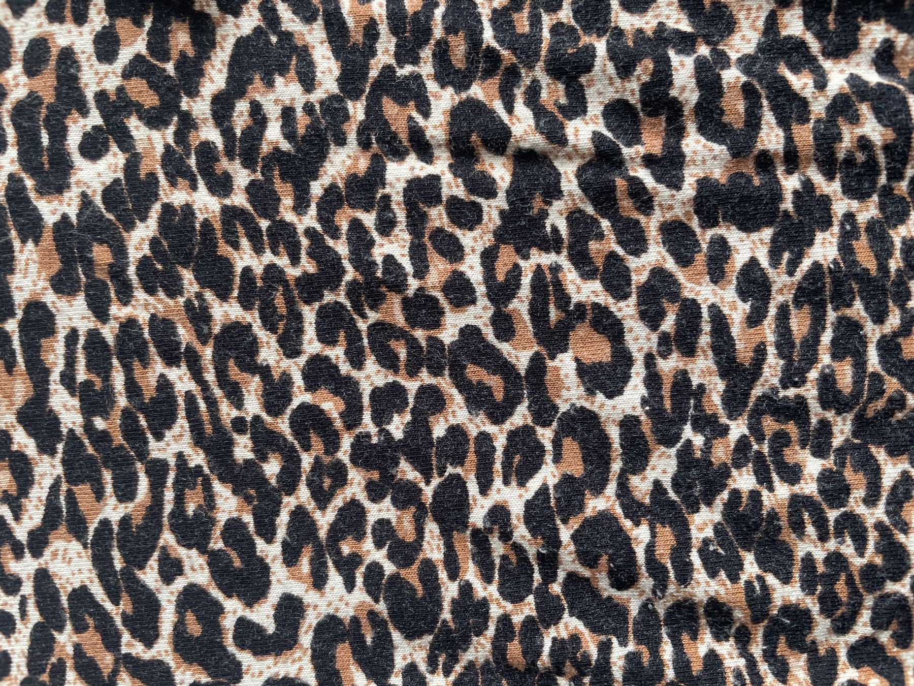 Yes Or No Giacche: Kapuzenjacke im Leopardenlook – Usato da Windisch venduto da orangepanter 1