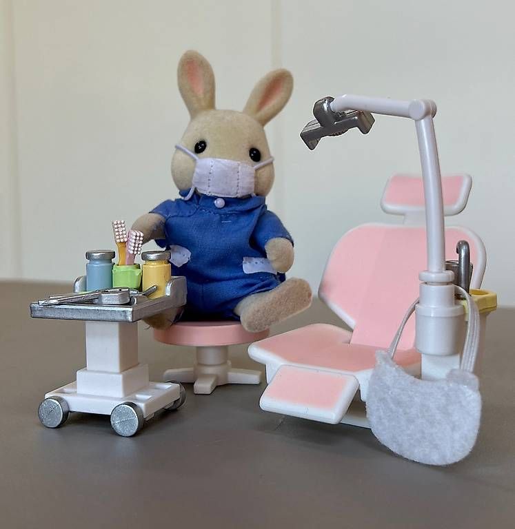 Spielzeuge: Sylvanian dentiste – Gebraucht aus Cully von sylvie.fournier