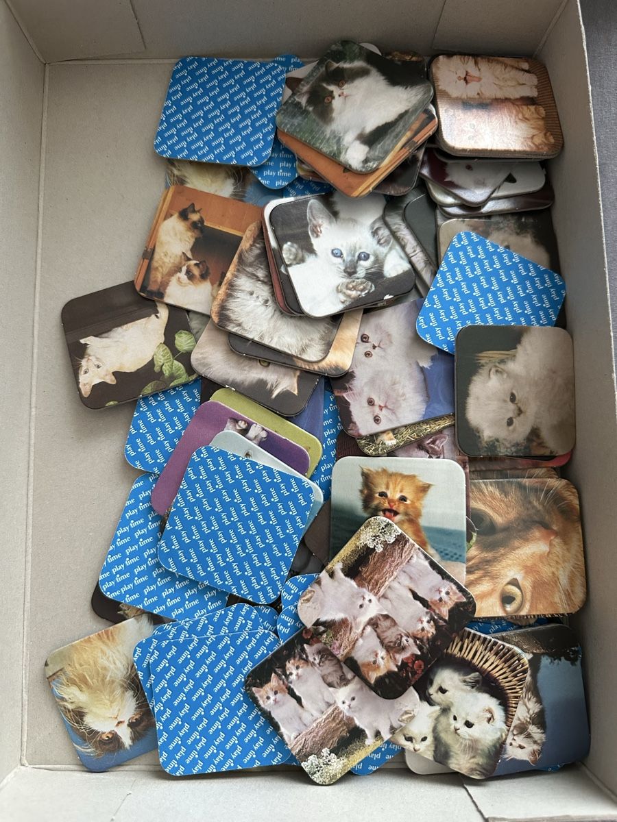 Giochi: Katzen Memorie Spiel – Usato da Zufikon venduto da tam_gfx6 1