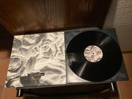 Black Rose - The Room Inside