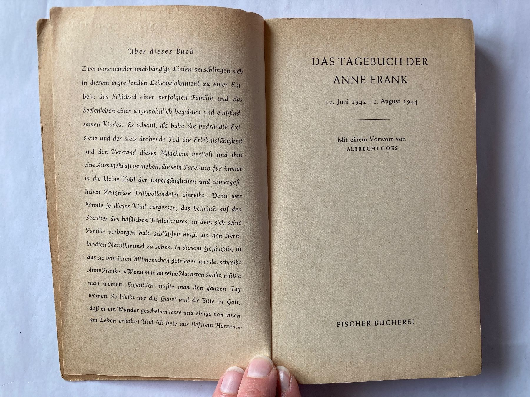 Libri: Taschenbuch: Anne Frank Tagebuch – Usato da Bubendorf venduto da Alpenheidi 3
