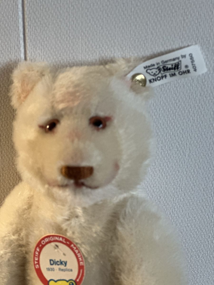 Steiff Puppen: Steiff Bär Dicky – Neu und originalverpackt aus Mumpf von A_B_E