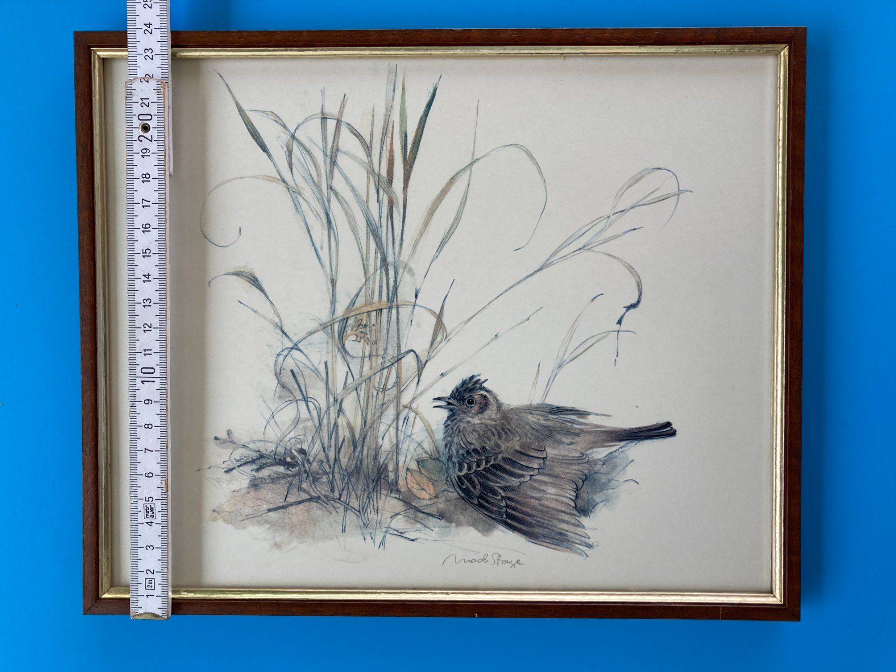 Grafica & Litografie: KUNSTDRUCK VON MADS STAGE   VOGEL – Usato da Subingen venduto da ArtBead 3