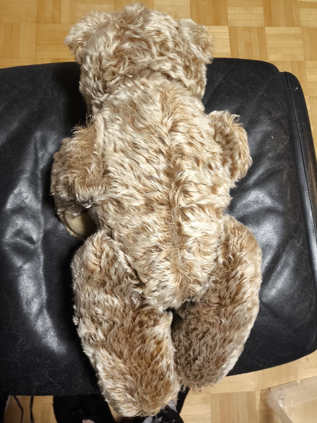 Steiff Giocattoli: Vintage Steiff Bär Zotti 53 cm – Usato da Gipf-Oberfrick venduto da hituliina 2