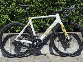 Wilier Filante SLR, Custom, 2024, Gr. L 56
