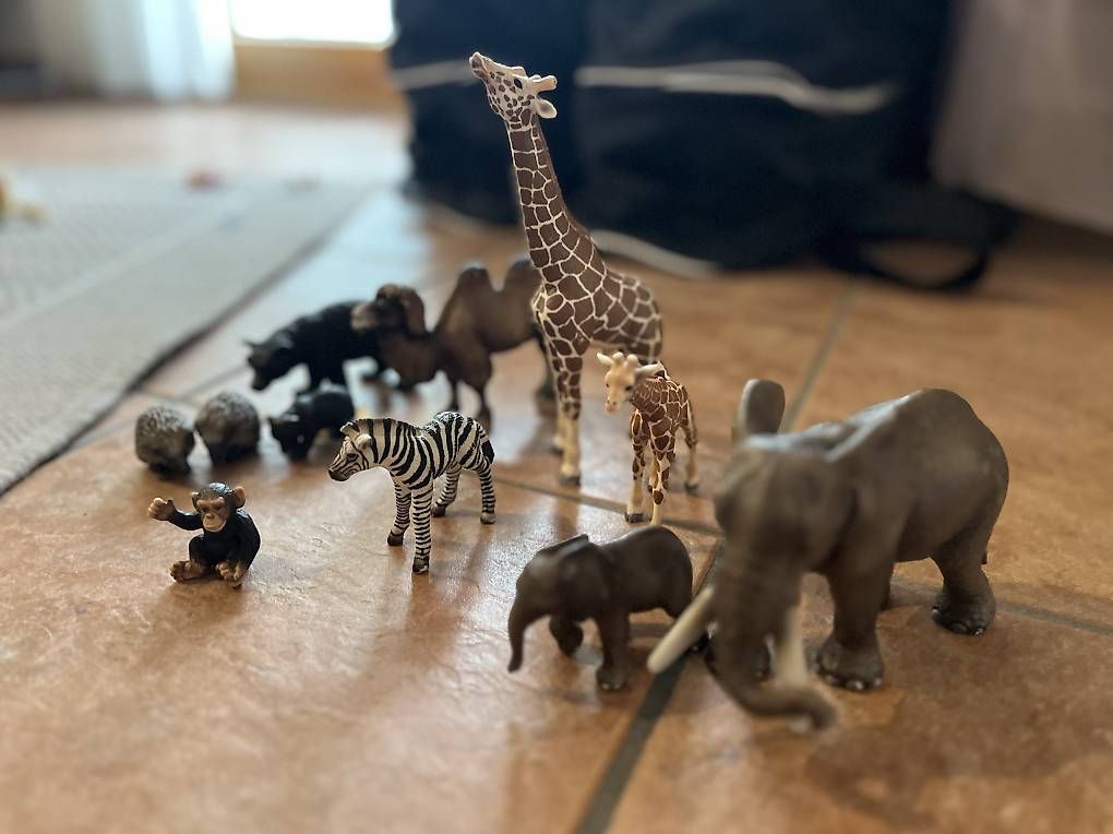 Figurines: Schleich-Tiere Zoo – D'occasion à Büren an der Aare par tadowa 3
