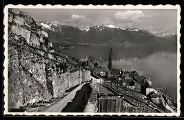 AK St. Saphorin, Vignobles et lac