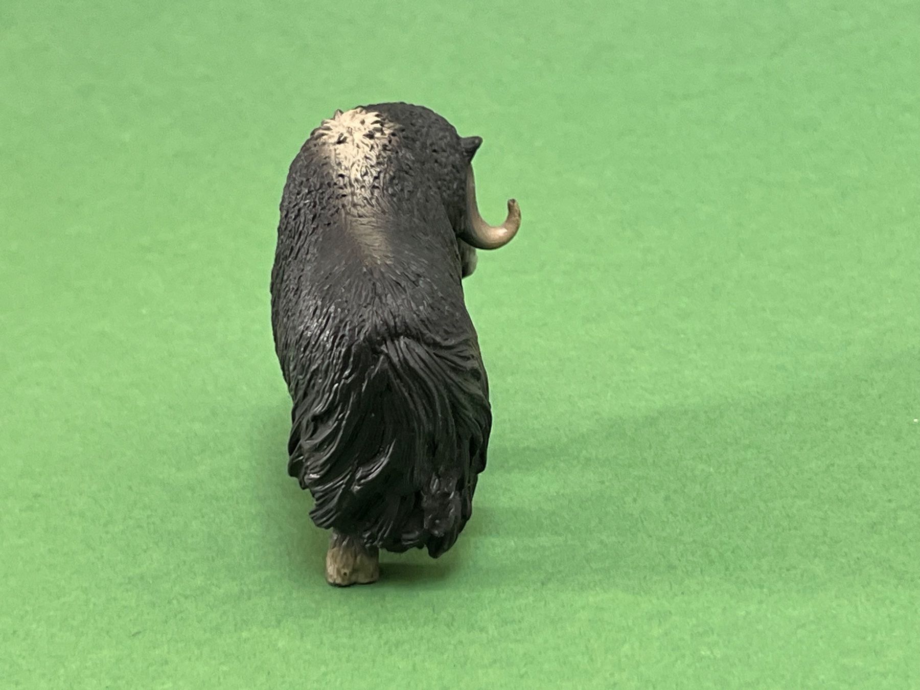 Schleich Statuette: Schleich - Moschusochse 14332 Ochse – Usato da Ennetbaden venduto da mapa05 4