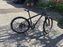 Bixs Mariposa 300 Mountainbike